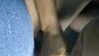 رقبة الديك الرومي