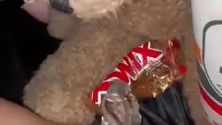 ساعات من الإباحية الإسلامية الغريبة للغاية عذراء سعودية فاخرة عمرها عامًا هواة عربية بيضاء ثلجية