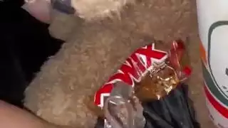 غريب الاستمناء مع الغذاءهواة العربية سنووايتجدا المتشددين صنم الإباحية تجميع