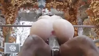 ملكة جزء مصر