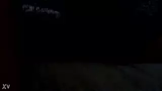 ق الأسد العربي