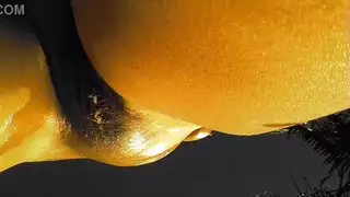 ميسي اليوبيل البرية في الهواء الطلق الروعة الروعة