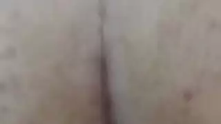 الحمار صديقته الإيرانية