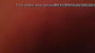 أسلوب الكلب من ديك أسود كبير جامايكي