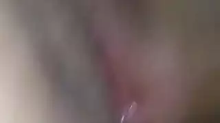 الحمار العربي فوكين