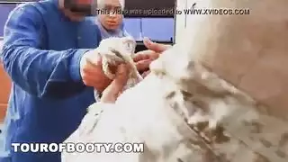 جولة من الغنائم جنود يمارس الجنس معهم عبر الشرق الأوسط
