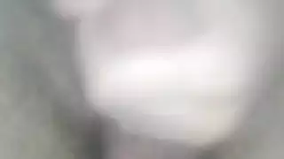 مصر ديك