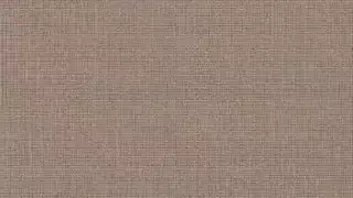 رجل تركي يصرخ 