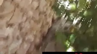الإباحية البولندية اللسان في مصر
