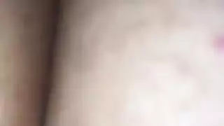 الحمار العربي سخيف