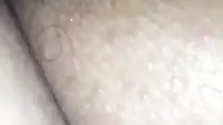 الحمار العربي