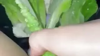 جنونا وأغرب الغذاء الاستمناء حار ليل ستيبسترالهواة العربية سنو وايت في لوس أنجلوسالولايات المتحدة الأمريكيةكينكي المتطرفة صنم السعودية العربية مسلم الإباحية