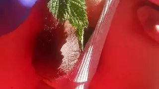 جلسة استمناء شرجية مكثفة مع حبوب لطيفة