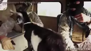 أخت خطوة اللعب العربية على حليف العرب والرجل الساخن قطرة الغنائم