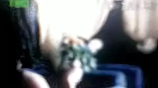 الجنس العربي ()