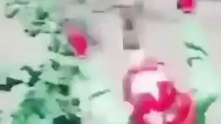 امرأة تحلق مع تعليق باللغة العربية