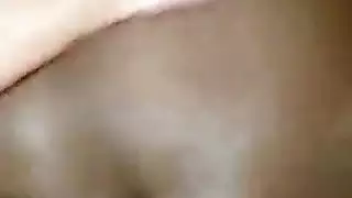 تربية العربية الأبنوس