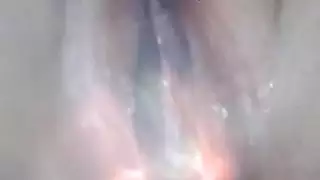 فطيرة كريم سونيا