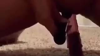 الجبهة العربية ارضاء نفسها مع لعبة