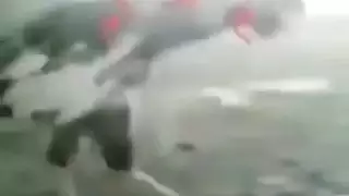 الديك الأسود العربي