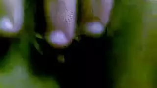 مصر العربية