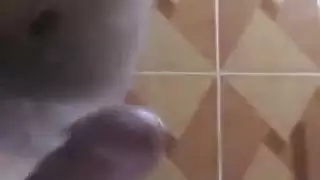 الاستمناء العربي قادم